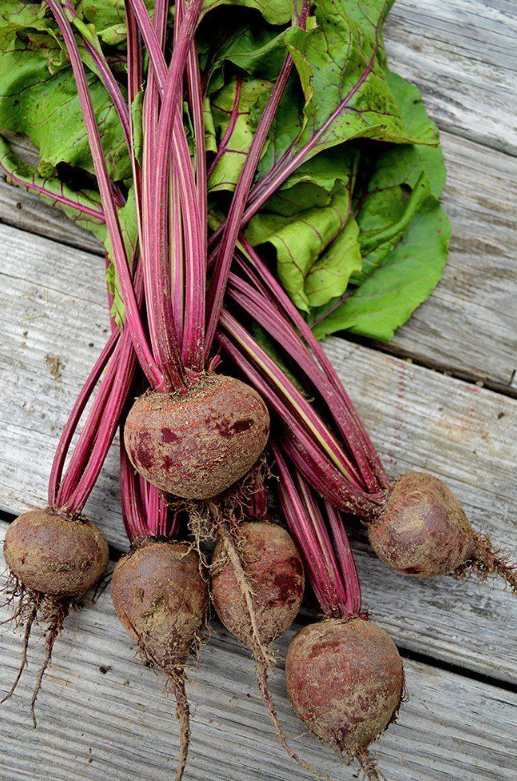 before Beetroot Seeds 