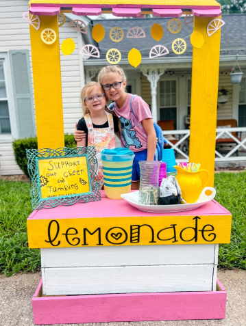 Lemonade Stand Ideas